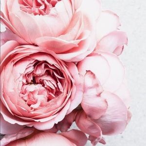 Meet your Posher, Estefania